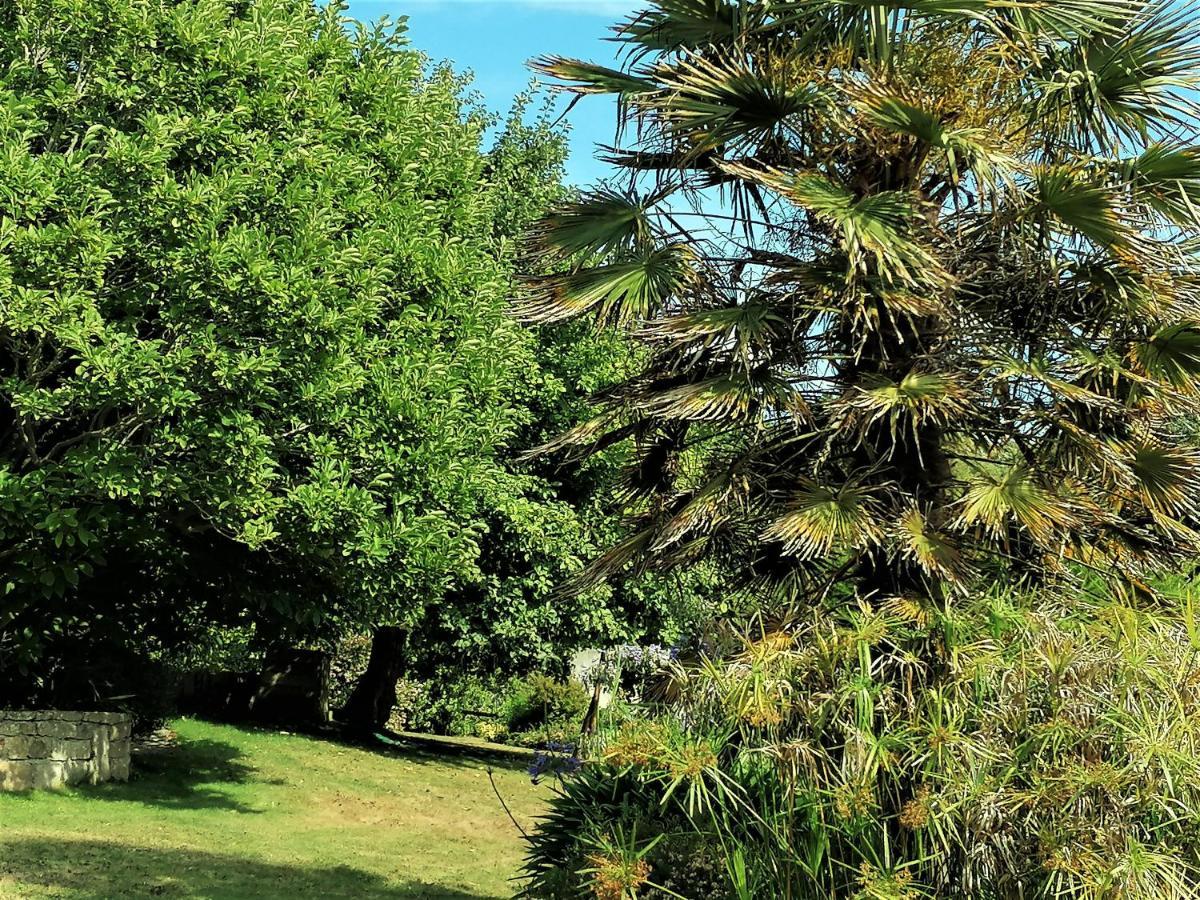 Les Terrasses Du Ris Douarnenez Exterior foto